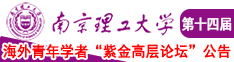 大骚逼图南京理工大学第十四届海外青年学者紫金论坛诚邀海内外英才！